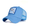 GORRAS ANIMALES