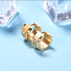 PENDIENTES ZIRCONITA