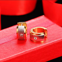 PENDIENTES ZIRCONITA